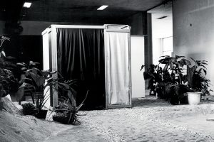 Llegan dos grandes Muestras de Artistas a la Ciudad