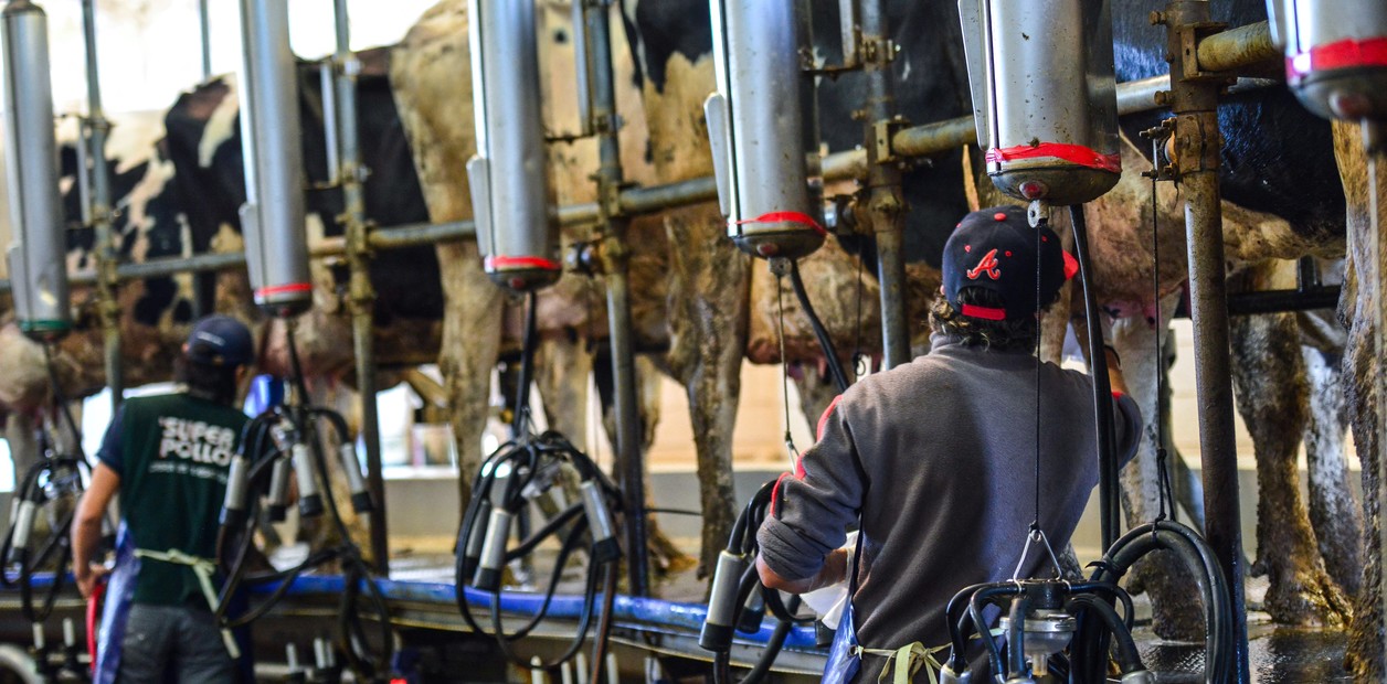 paara-este-ano-desde-agroindustria___cVOBETLuJ_1256x620__1
