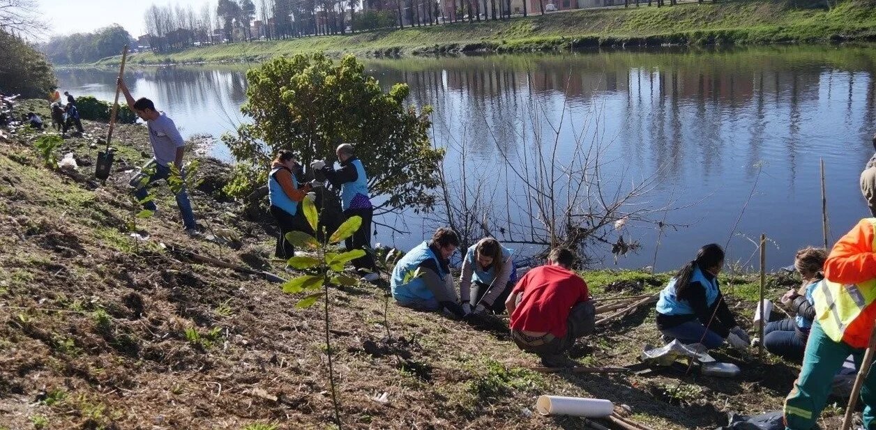 plantaron-mil-arboles-autoctonos-en___BumBO1s9O_1256x620__2