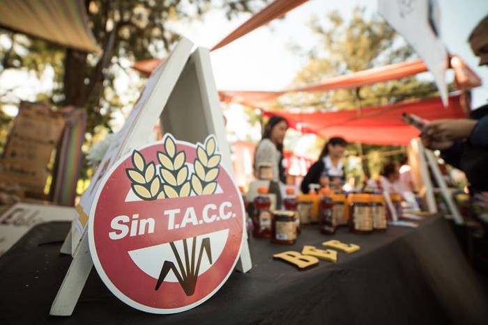 tacc_sin