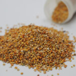 La quinoa se reactiva como opción clave en la agricultura del siglo XXI