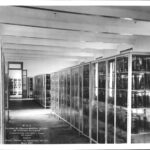 Museo de Patología Quirúrgica: la memoria médica que guarda Agronomía