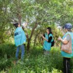 Vecinos voluntarios cosecharon frutos nativos en la Reserva Ecológica Lago Lugano