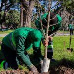 Plan de Arbolado 2024: la Comuna 15 suma verde y compromiso ambiental