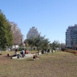 Más de 80 mil vecinos ya pueden disfrutar del Parque Ferroviario de Colegiales