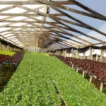 FAUBA abre sus puertas para formar técnicos en horticultura y paisajismo urbano