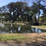 parque-saavedra