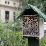 Hoteles para abejas: refugios silvestres en Agronomía