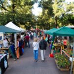 Ferias en Agronomía: tradición, comunidad y sabor local