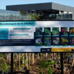 Nació el primer bosque urbano en la zona sur de la Ciudad