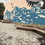 La Plaza del Árbol volvió a florecer: terminó la renovación total del espacio