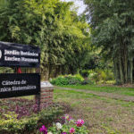 Jardín Botánico Lucien Hauman: un respiro verde dentro de Agronomía