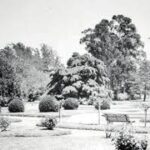 Del Gran Parque del Oeste al corazón de Agronomía: una historia de verdes, vecinos y cambios