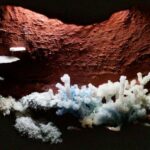 El Museo Sívori retoma sus actividades de los sábados creativos