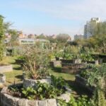 Recorridos guiados para conocer el Paseo Ambiental del Sur