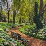 La Ciudad activa refugios climáticos para proteger a los vecinos del calor