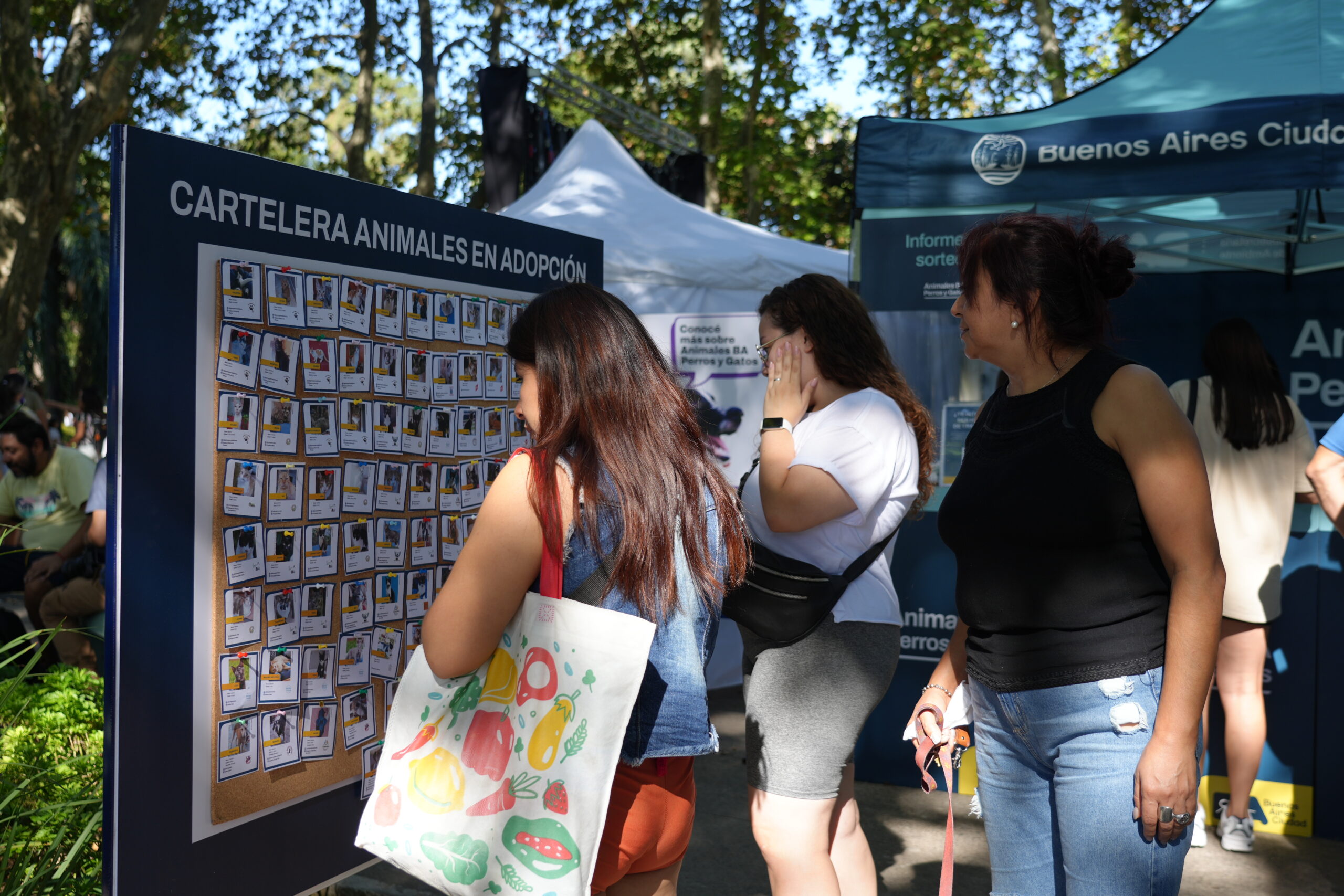 Parque Chacabuco recibe una jornada de adopción con perros y gatos que buscan familia