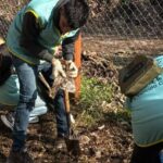 Vecinos se reunieron para sumar especies nativas en un espacio ambiental de Chacarita
