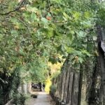 Agronomía, el barrio porteño donde los espacios verdes cambian el ritmo de la Ciudad
