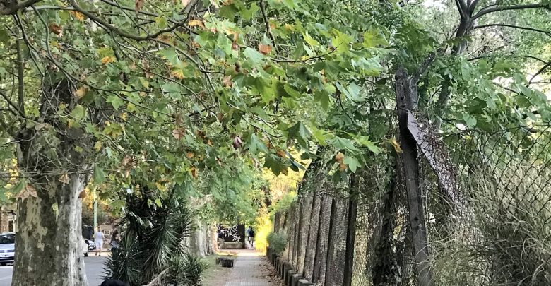 Agronomía, el barrio porteño donde los espacios verdes cambian el ritmo de la Ciudad