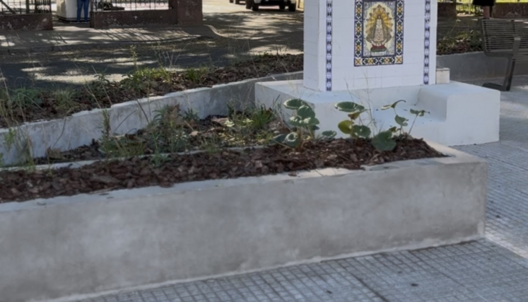 Flora nativa en la rotonda de Agronomía