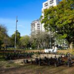 Plaza Irlanda sumó un bosque urbano en homenaje a donantes Plaza Irlanda sumó un bosque urbano en homenaje a donantes