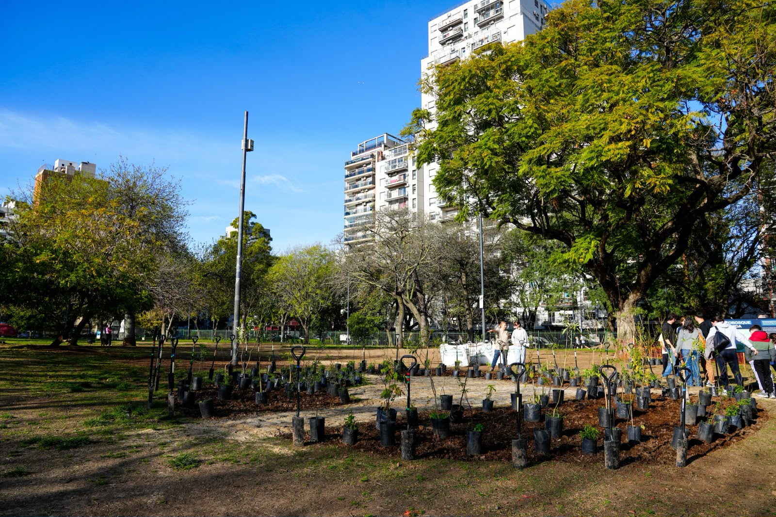 Plaza Irlanda sumó un bosque urbano en homenaje a donantes